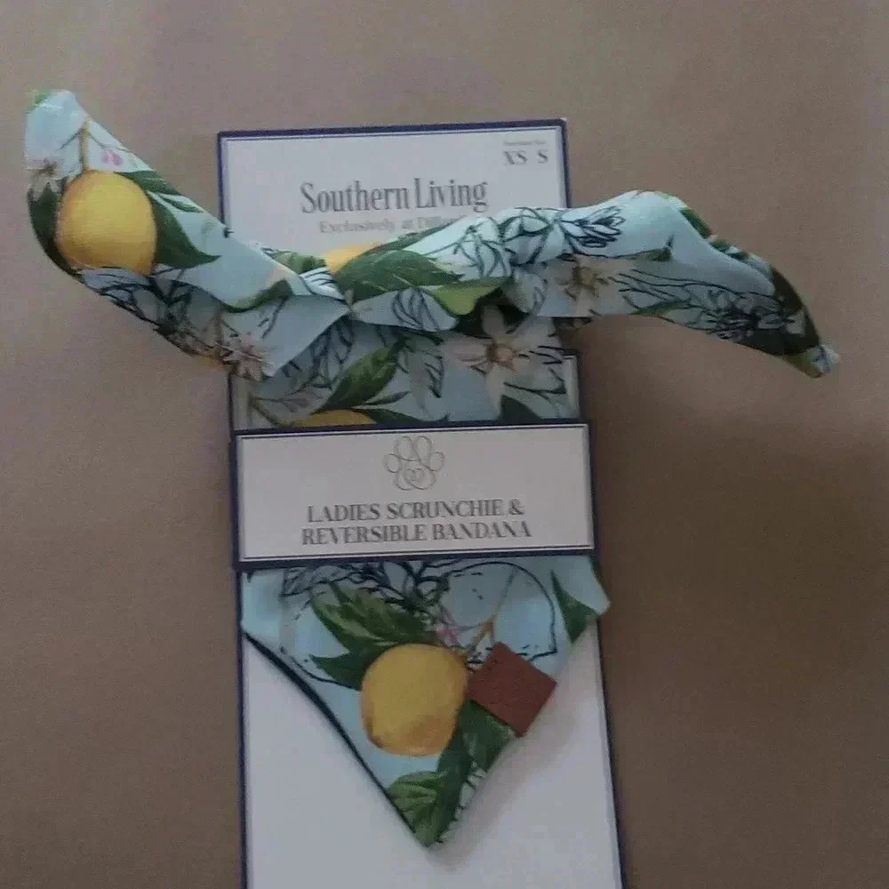 Pet Bandana With Matching Owner Scrunchie Set New